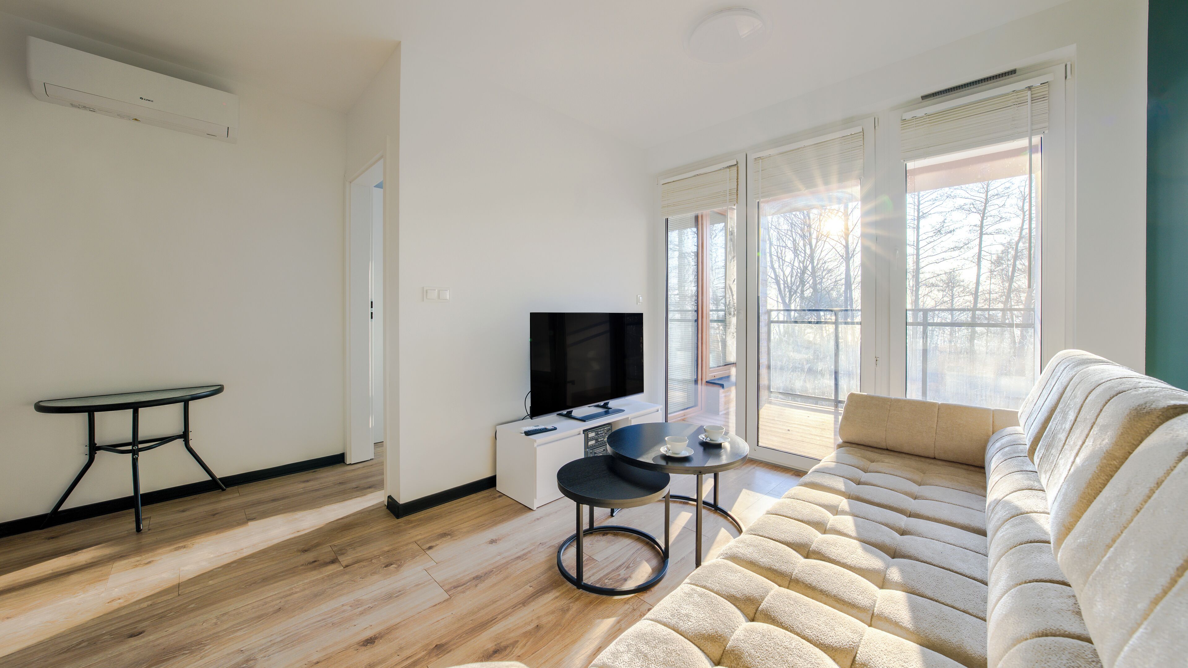 Apartment (59) | Living area