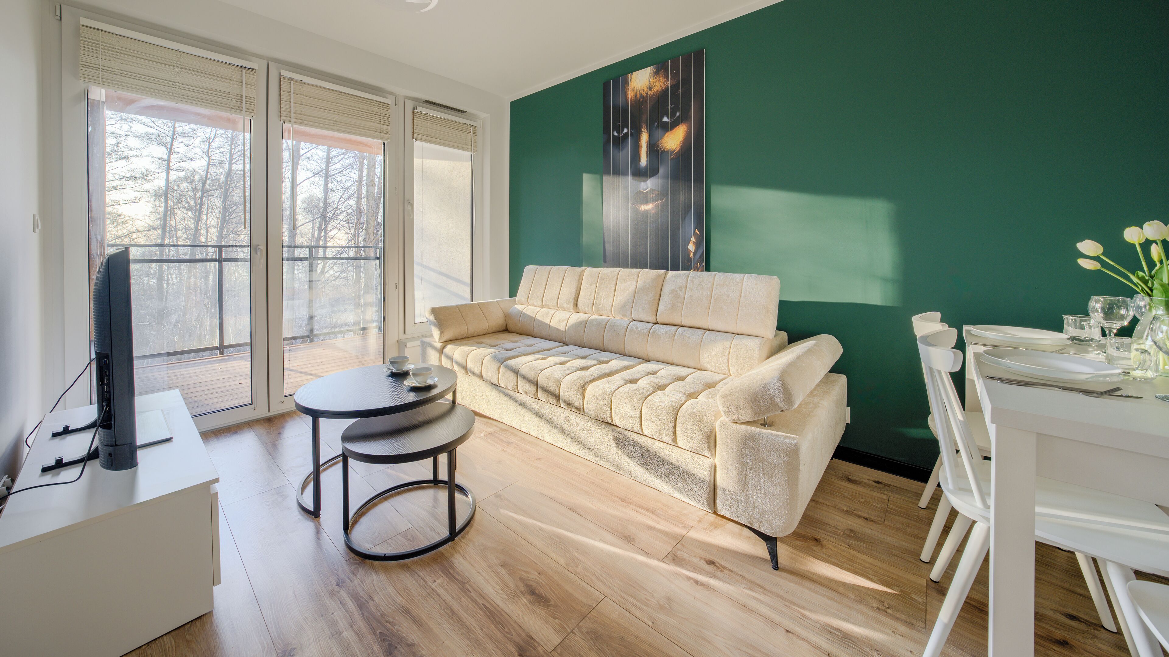 公寓 (59) | 起居区 | 平板电视