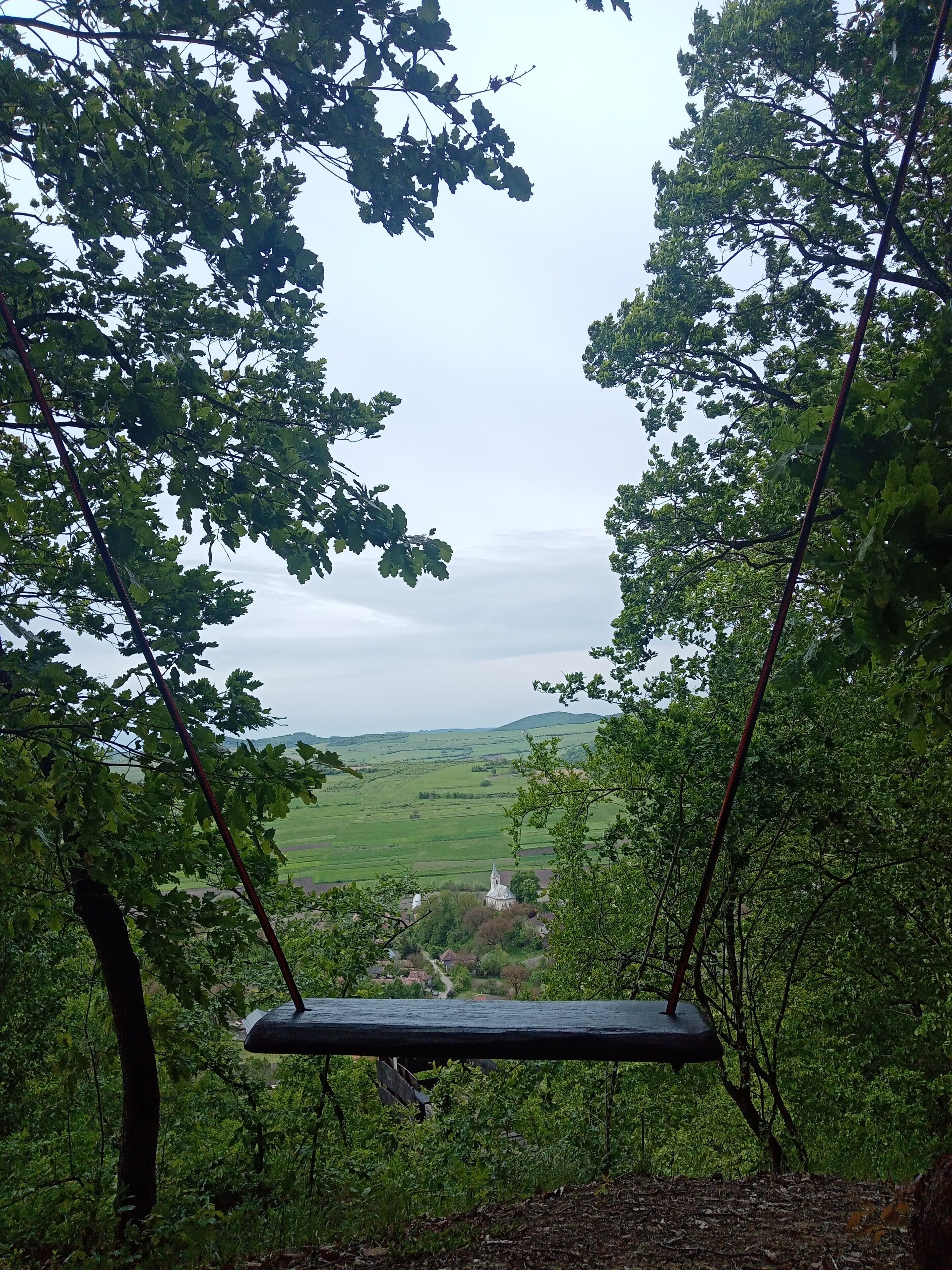A swing in a wooded area with a view of a distant building.