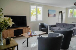 Télévision, cheminée, chaîne hi-fi