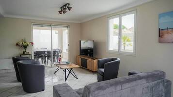 Télévision, cheminée, chaßne hi-fi