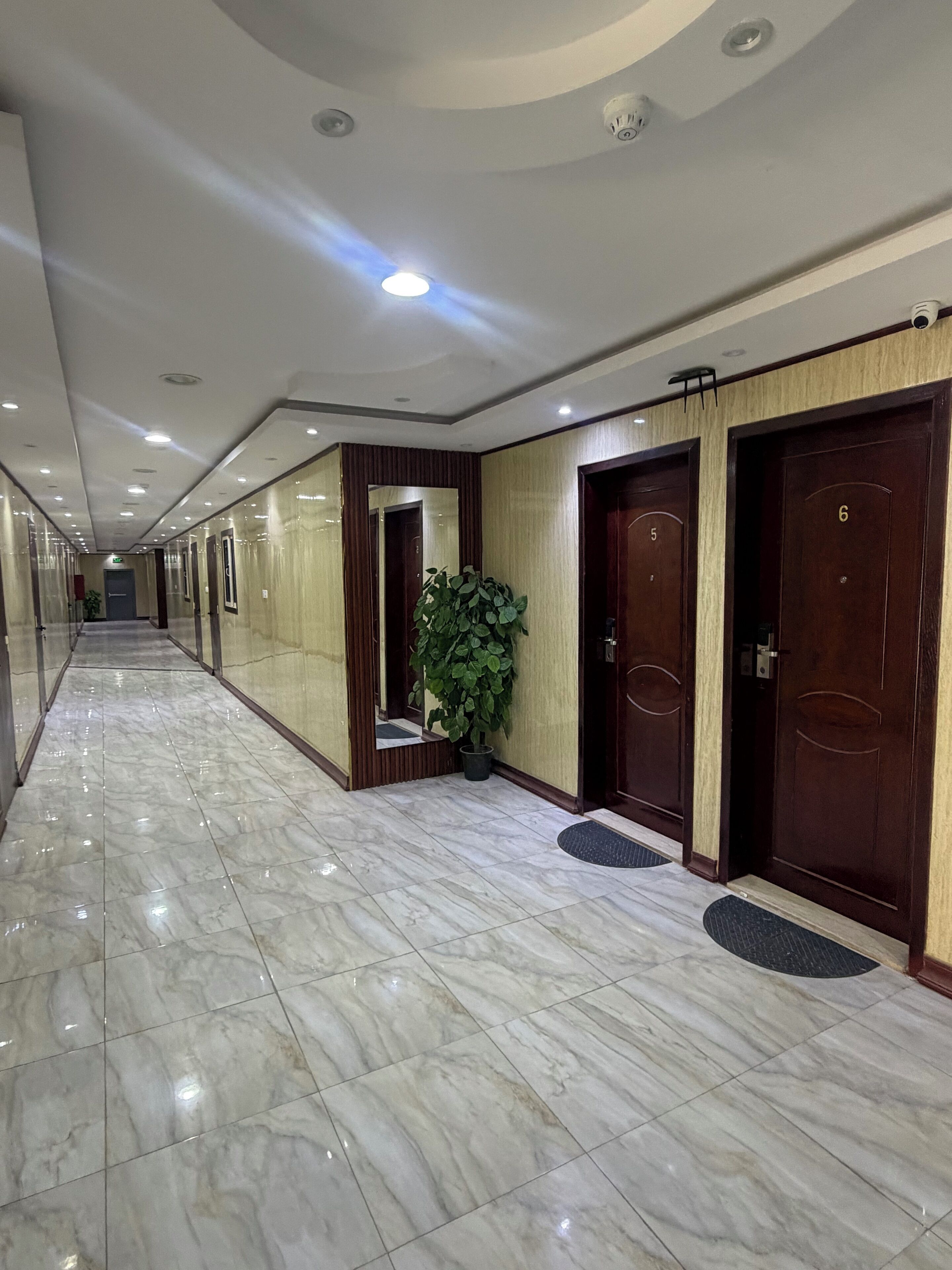 Un couloir d’hôtel avec un sol en marbre, des portes en bois numérotées 5 et 6, et une plante en pot.