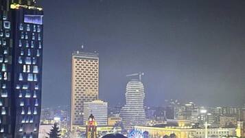 Vue depuis le balcon