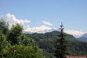 Miscellaneous - Cosy, quiet 2-room apartment in Onnion - Nature, mountains & modern comfort (Onnion)