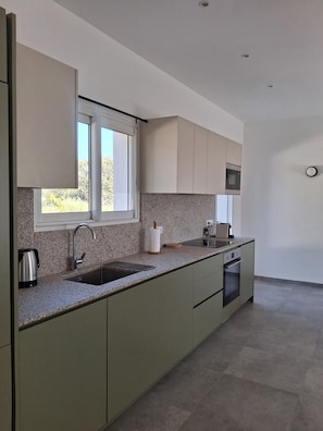 A modern kitchen with a granite countertop, stainless steel sink, and a built-in oven. - 70 m² air-conditioned mini-villa with garden 5 minutes from beaches. (Serra-di-Ferro)