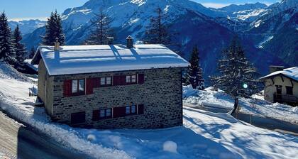 Detached 5-bedroom family chalet in La RosiĂšre-Centre.