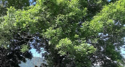 GĂźte du Hibou - 4 Ă 6 pers / Auberge LARMUSE