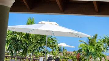 A pool area with lounge chairs and umbrellas, a no smoking sign, and palm trees.