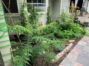 Exterior detail - Peaceful Private Forest Trails and Zen Gardens Weddings Events Healing Sanctuary (Camano)