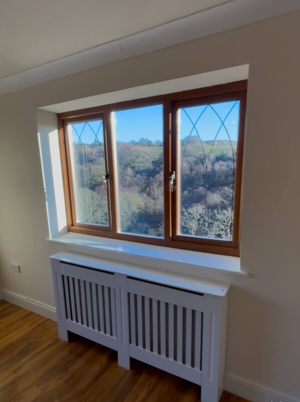 Room, 1 Bedroom, Accessible | View from property