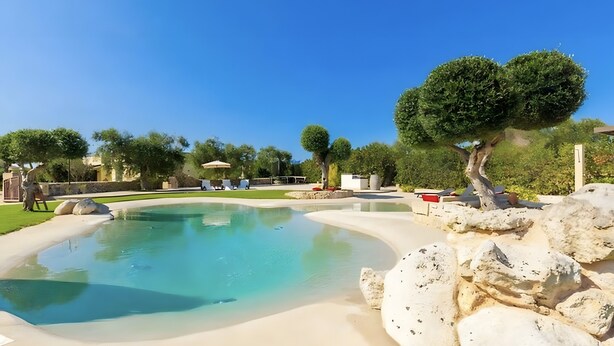 Una piscina con borde curvo, rodeada de rocas y un árbol.