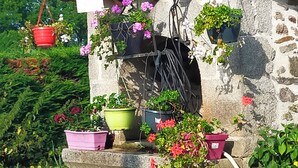 Un bâtiment rustique en pierre, avec de nombreux pots de fleurs disposés sur les marches.