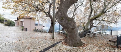 Terraço/pátio