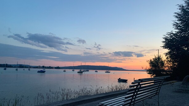 A bench by a calm body of water with boats, a clear sky, and distant hills. - Apartment "Fewo Im Schönen Allensbach" with Lake View and Wi-Fi (Allensbach)