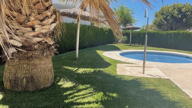 A backyard with a swimming pool, a palm tree, and a thatched umbrella. - CasaMar Playa (Estepona)