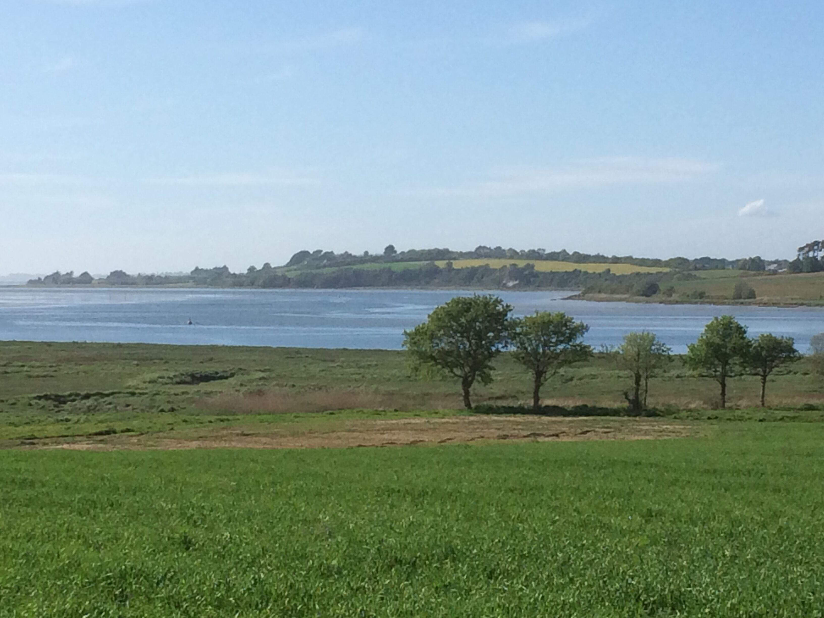 Kustlandschap met een grasveld voor, een wateroppervlak en een verre boomrij.
