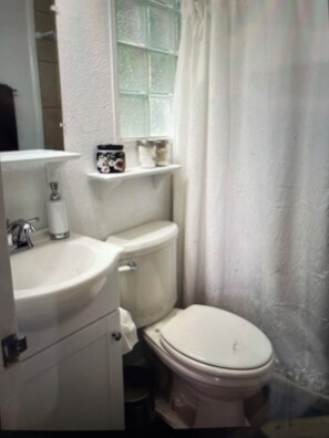 Secador de cabelo, toalhas de banho