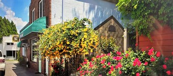OverLook On Main | Couple | Downtown Ellijay