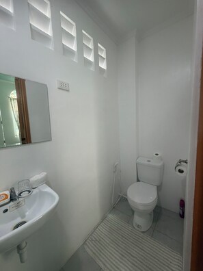 Hair dryer, bidet, towels, soap