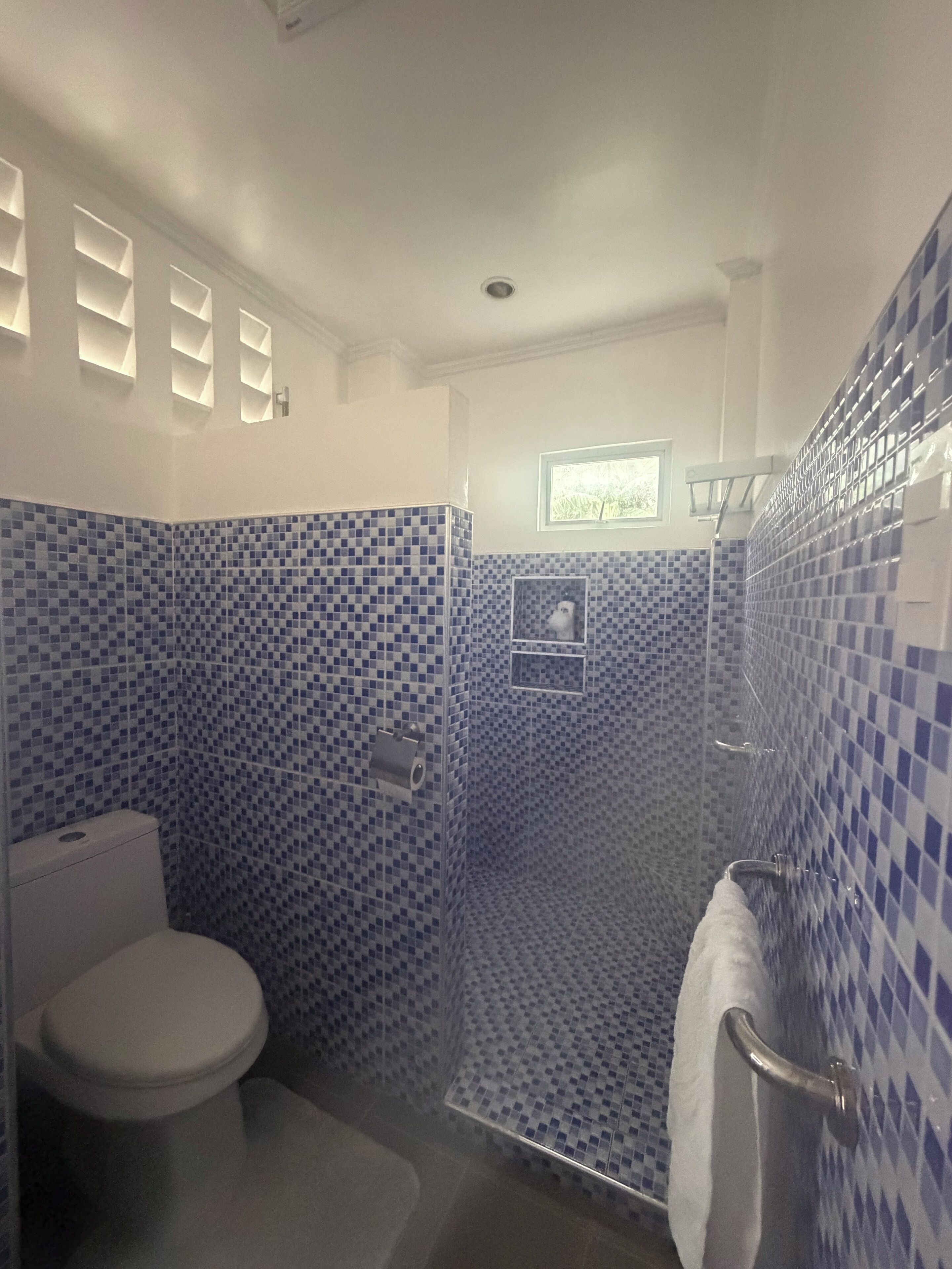 Hair dryer, bidet, towels, soap