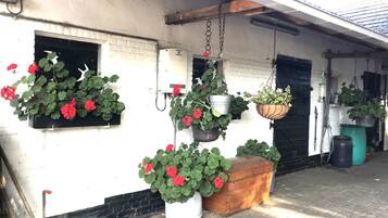 Terrein van de accommodatie