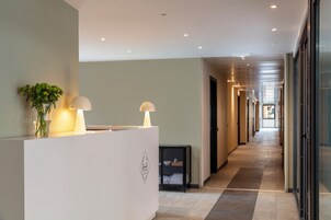 Ein Hotel-Empfangsbereich mit Empfangstresen, einer Zimmerpflanze, einer Lampe und einer Glastür zum Flur.