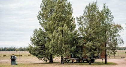 Plain Bush by Tiny Away
