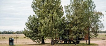 Plain Bush by Tiny Away