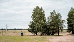 Un paysage rural avec un chemin de terre, une construction en bois et de grands arbres.