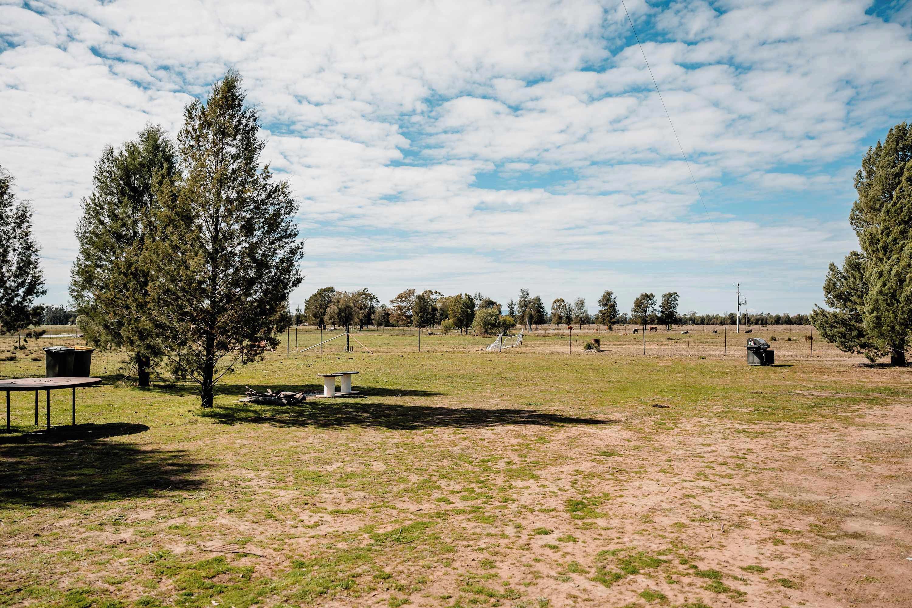 An open field with scattered trees, a picnic table, and a fenced area.