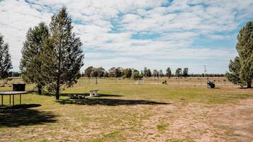 An open field with scattered trees, a picnic table, and a fenced area.