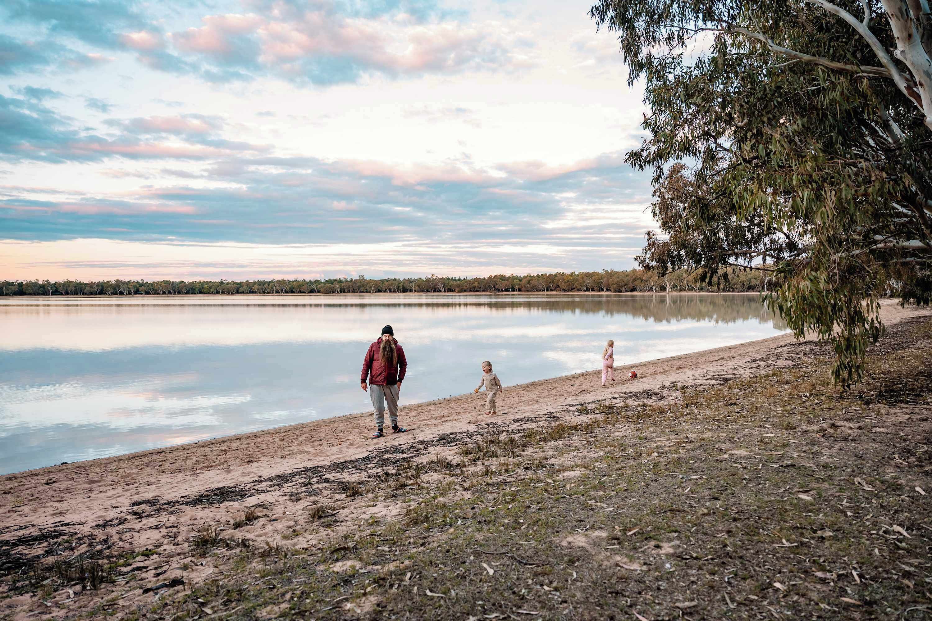 Un lago con una spiaggia sabbiosa e un albero sulla destra.