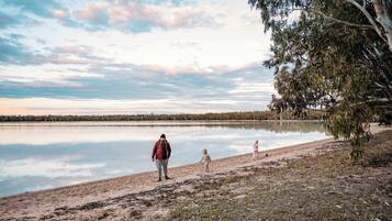 Un lago con una spiaggia sabbiosa e un albero sulla destra.