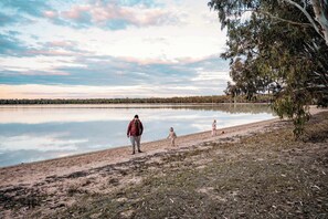 Un lago con orilla arenosa y un árbol a la derecha.