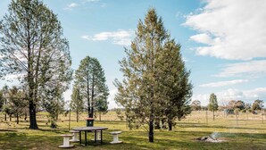 A picnic area with a table and benches surrounded by tall trees in a grassy field. - Plain Bush by Tiny Away (Bohena Creek)
