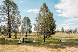 A picnic area with a table and benches surrounded by tall trees in a grassy field.