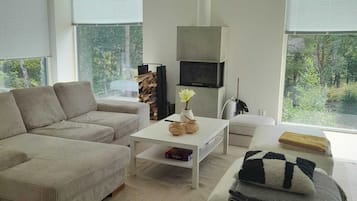 TV connectée, cheminée, livres