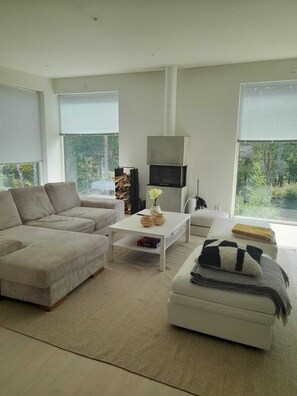 Smart TV, fireplace, books