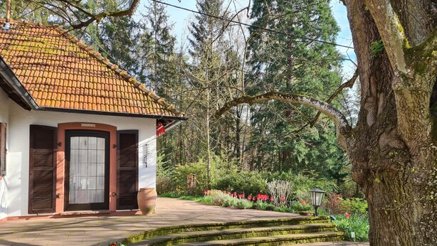 Ein traditionelles Haus mit Ziegeldach, einer Haustür und einer kleinen Veranda mit Stufen.