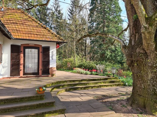 Biotope country house to the lime tree at Herrnkopf