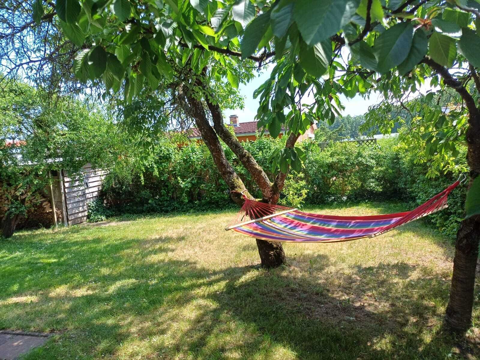 Een hangmat gespannen tussen twee bomen in een gazon, met een huis op de achtergrond.
