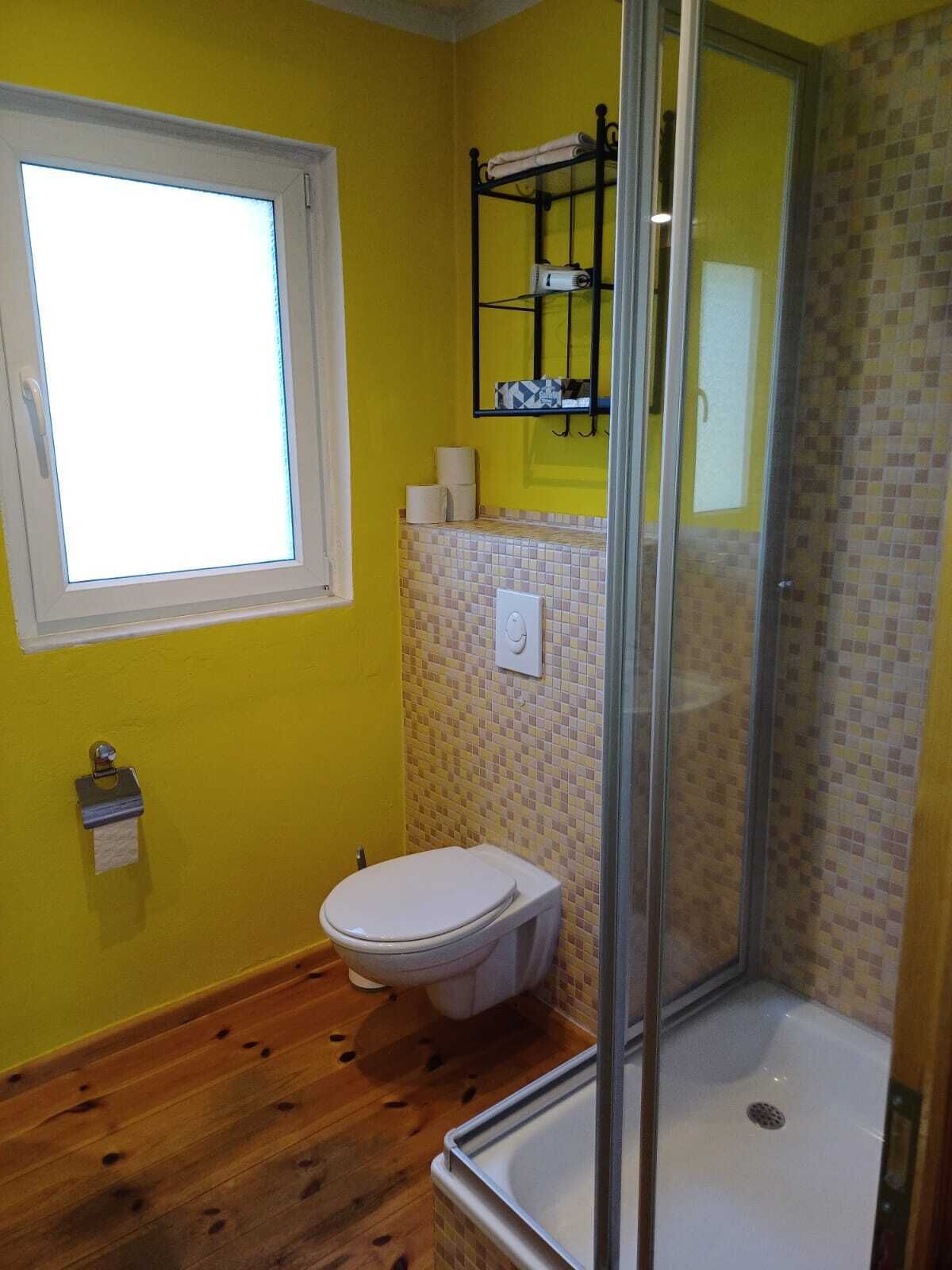 Shower, hair dryer, soap, toilet paper