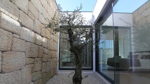 Un arbre dans une cour bordée de murs en pierre, avec un bâtiment en verre en arrière-plan.