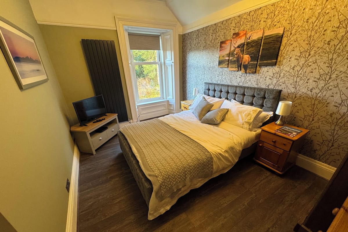 Un dormitorio con una cama grande, un televisor sobre un mueble, una ventana y una pared decorada con cuadros.