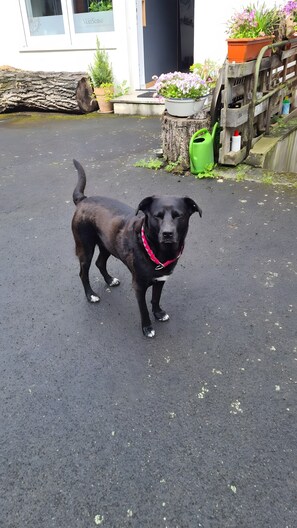 Overnatningsstedets område