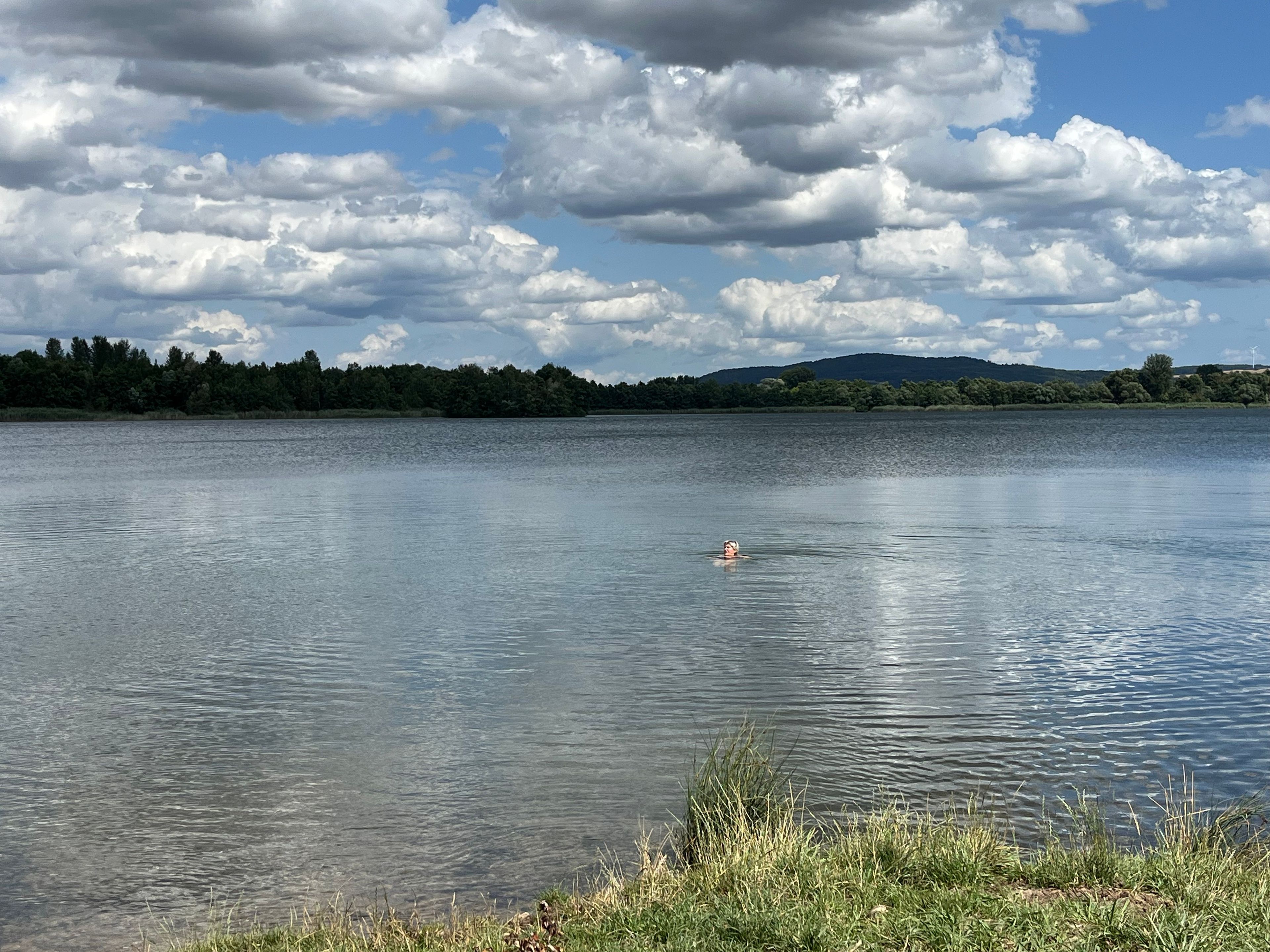 A calm lake with a swimmer in the distance, surrounded by a forested landscape and a cloudy sky.