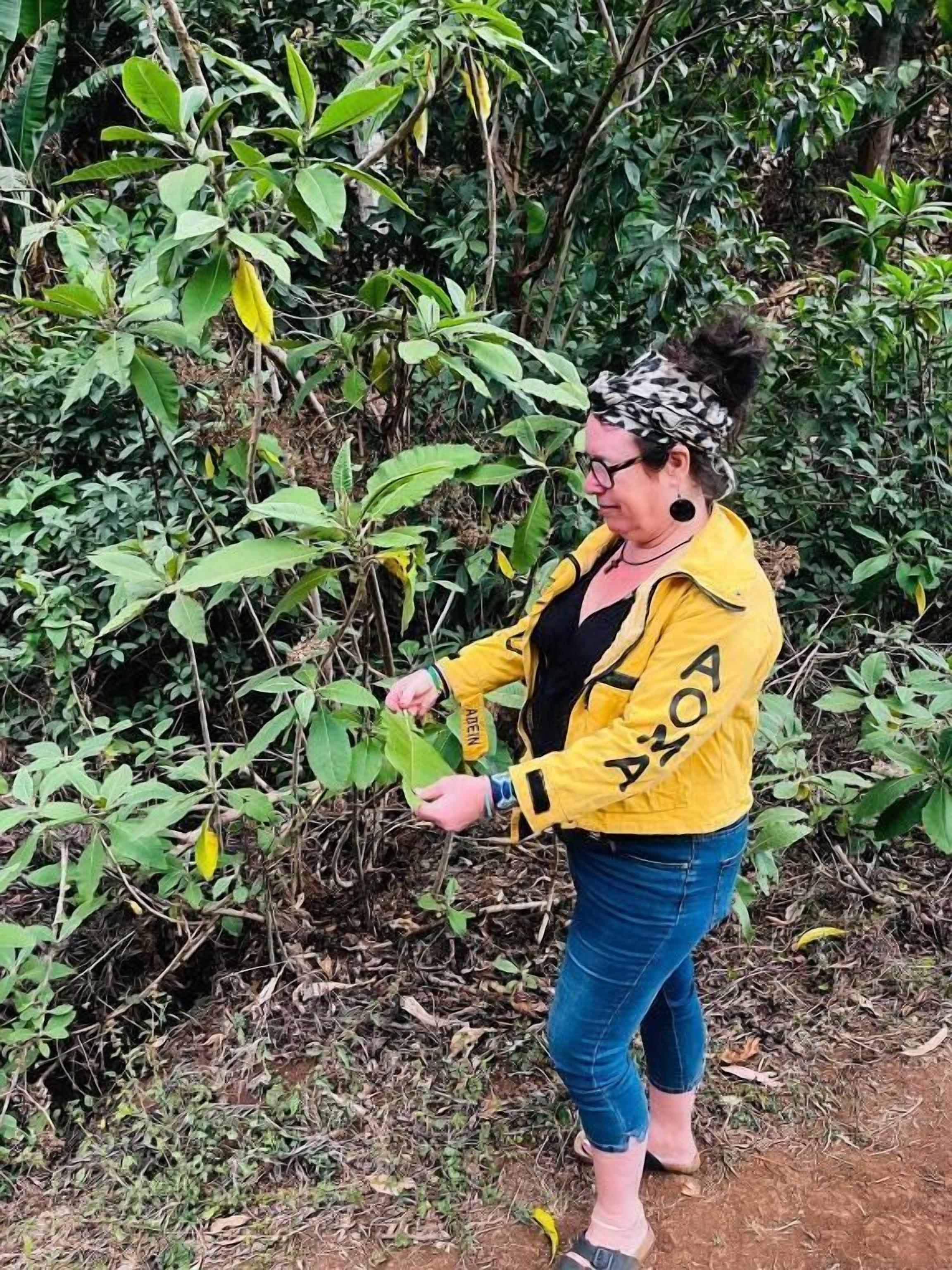 A person in a yellow jacket with 'ADEXA' text, standing in a natural setting with dense foliage.
