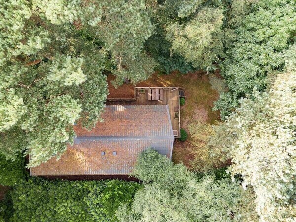 Pine Lodge - Kelling Heath Holiday Park - 20952 - Norfolk