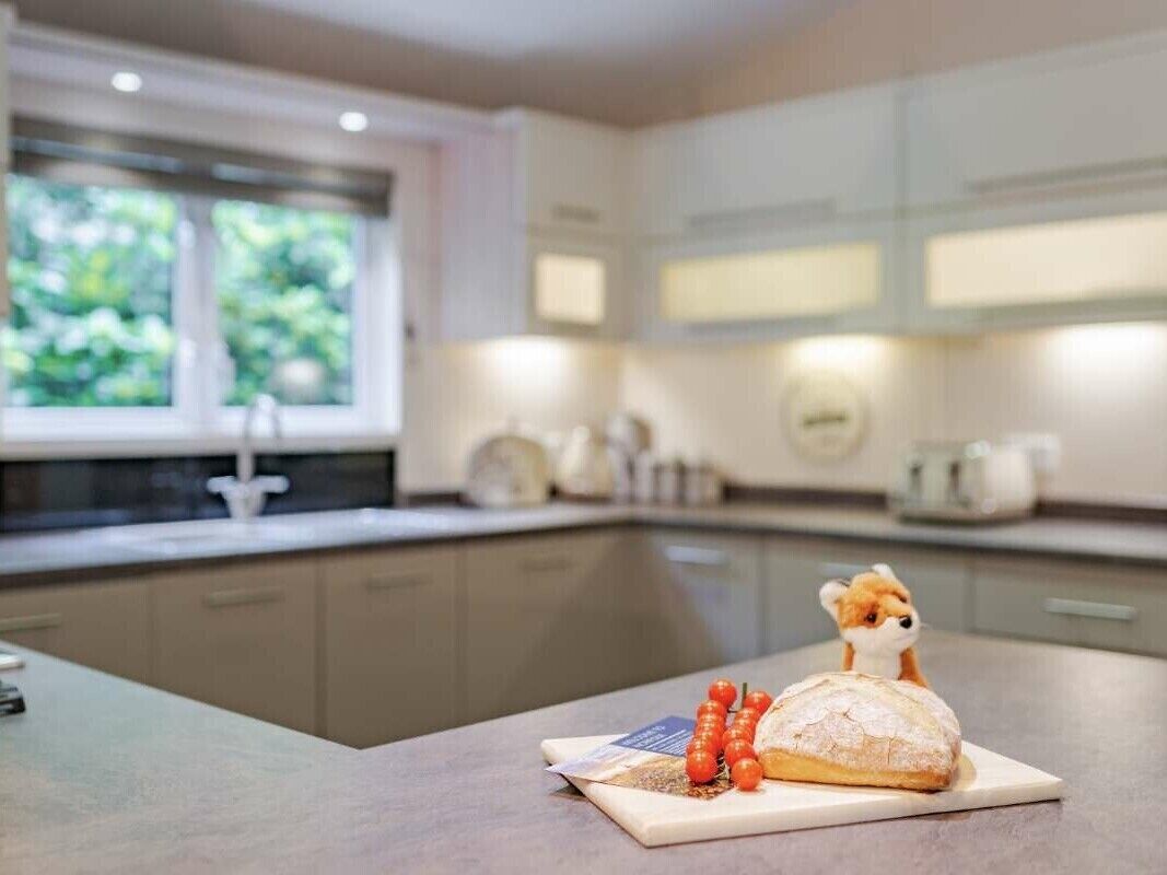 Dishwasher, cookware/dishes/utensils