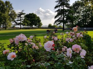 Overnatningsstedets område